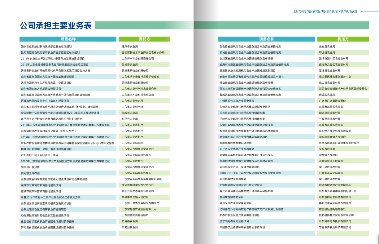 公司承擔(dān)主要規(guī)劃設(shè)計(jì)咨詢(xún)項(xiàng)目列表
